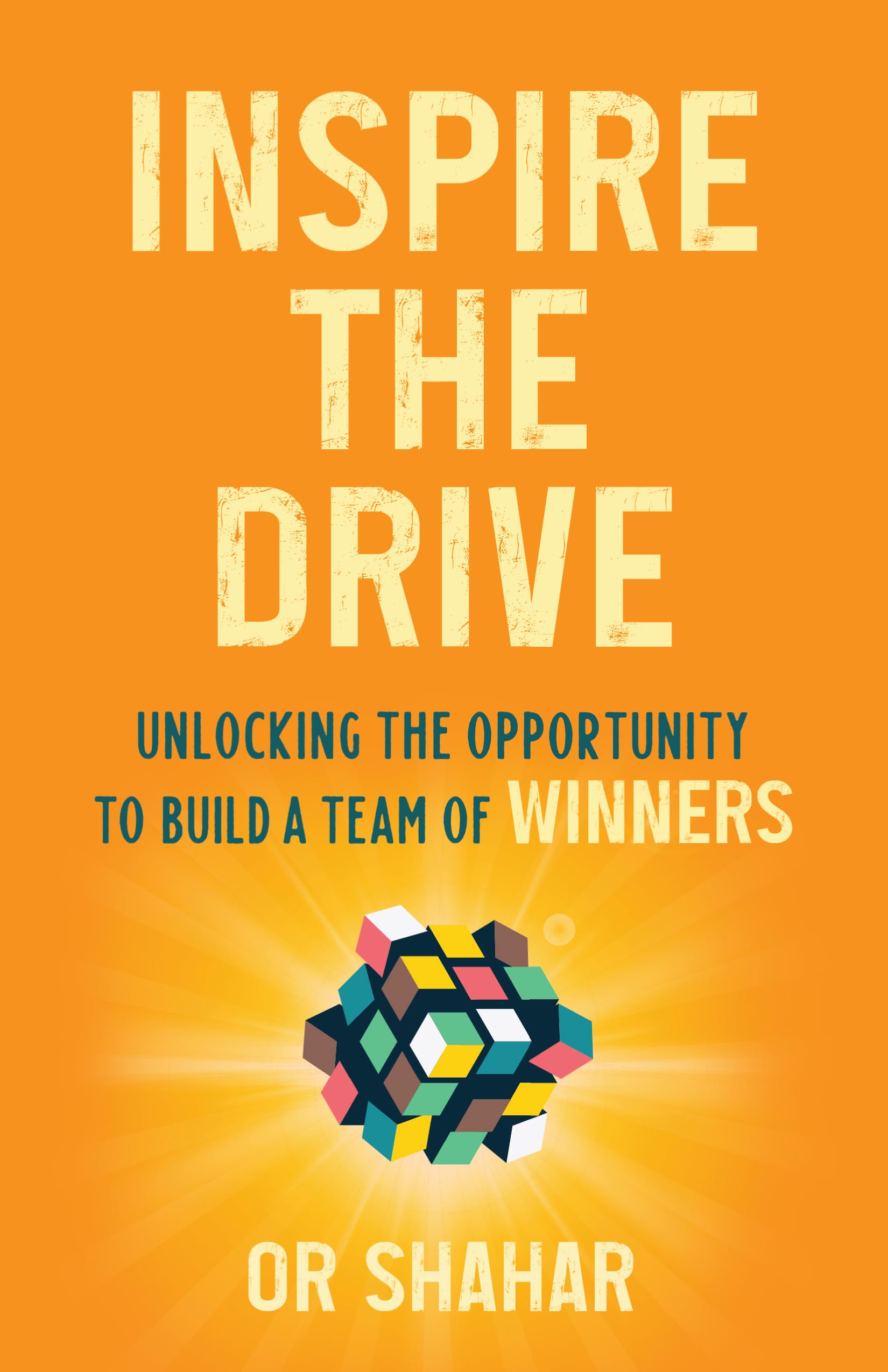 Inspire the Drive: Unlocking the Opportunity to Build a Team of Winners Business, Finance & Career