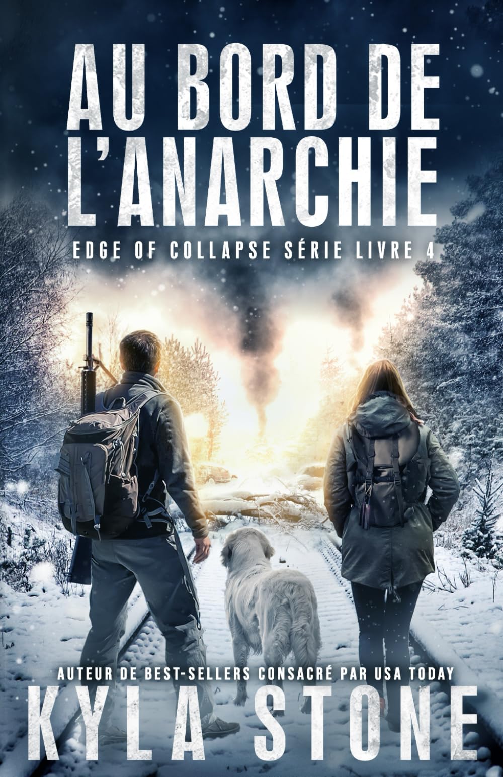 Au Bord De L’anarchie: Thriller Post-Apocalyptique (Série Edge of Collapse, Band 4) Suspense & Thrillers