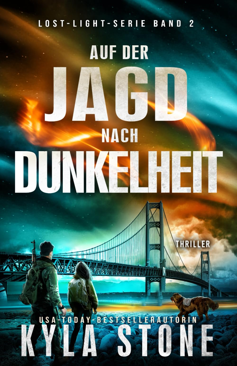Auf Der Jagd Nach Dunkelheit: Thriller (Lost Light Serie, Band 2) Action & Adventure