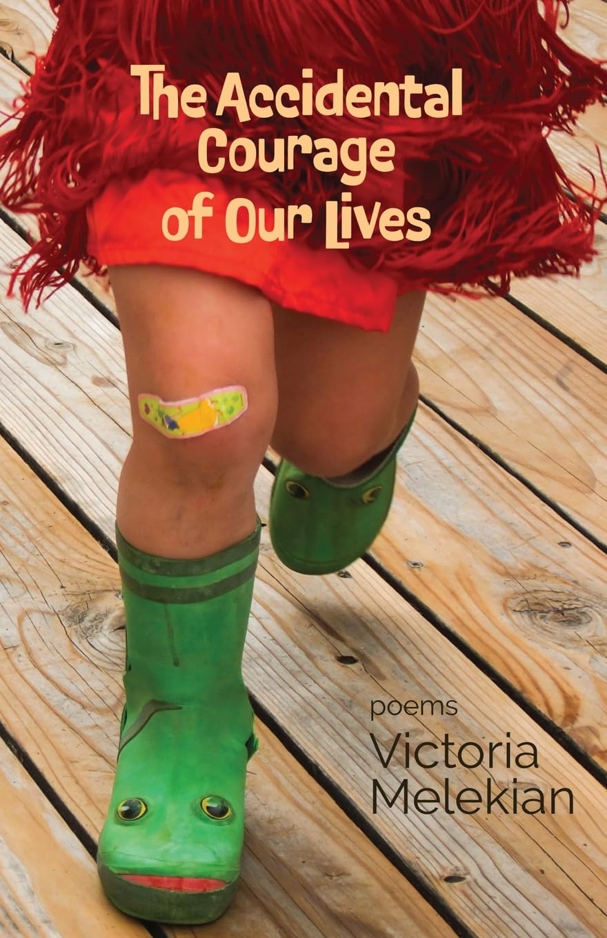 The Accidental Courage of Our Lives Poetry