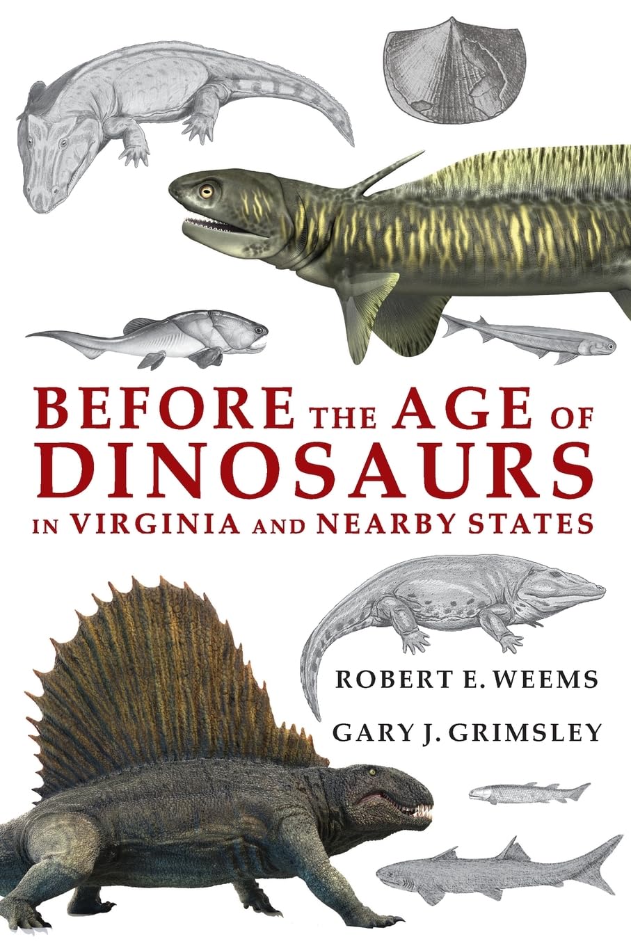 Before the Age of Dinosaurs in Virginia and Nearby States Mathematics