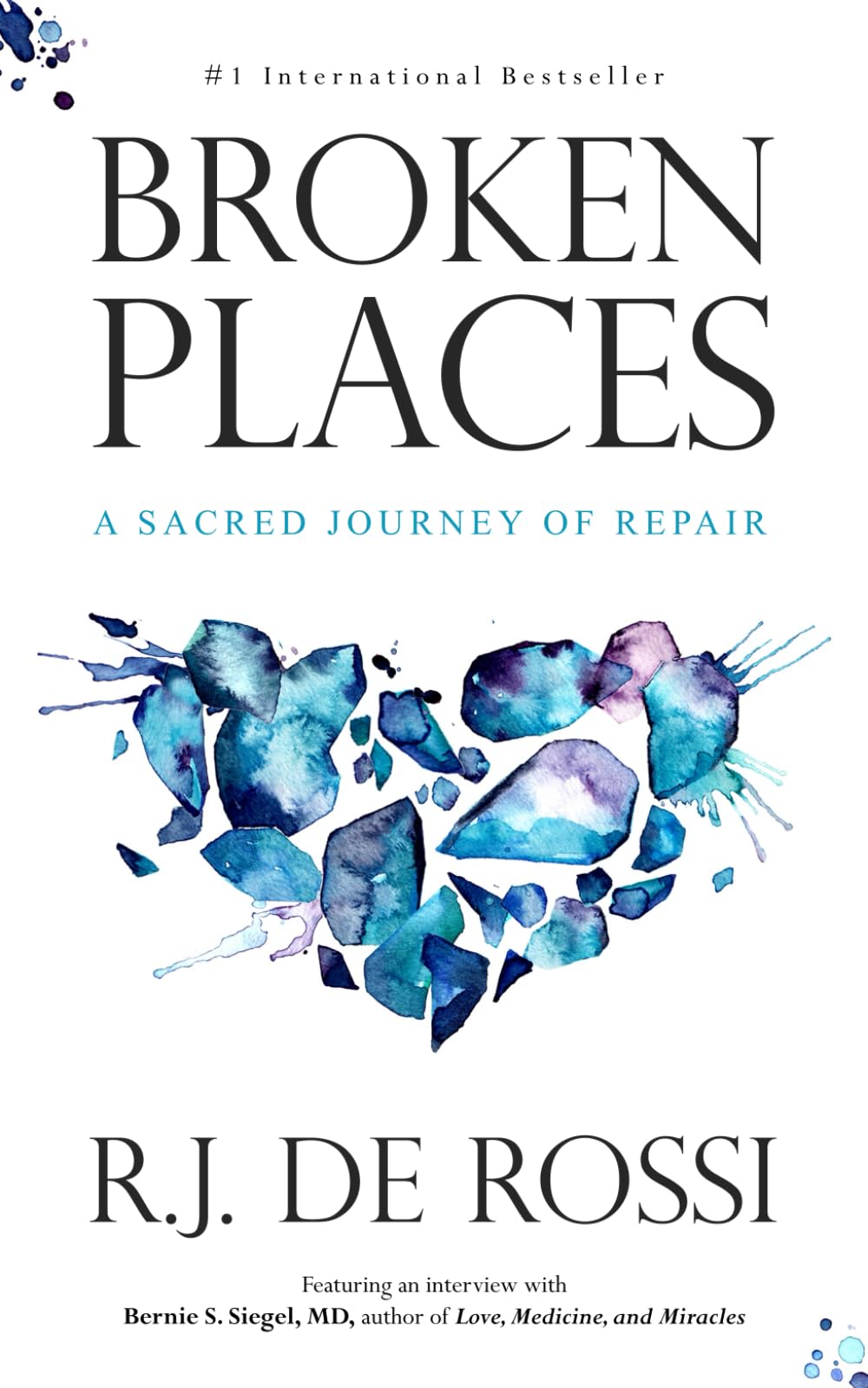 Broken Places: A Sacred Journey of Repair Philosophy