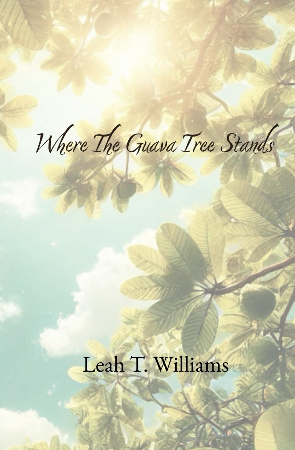 Product Image: Where The Guava Tree Stands
