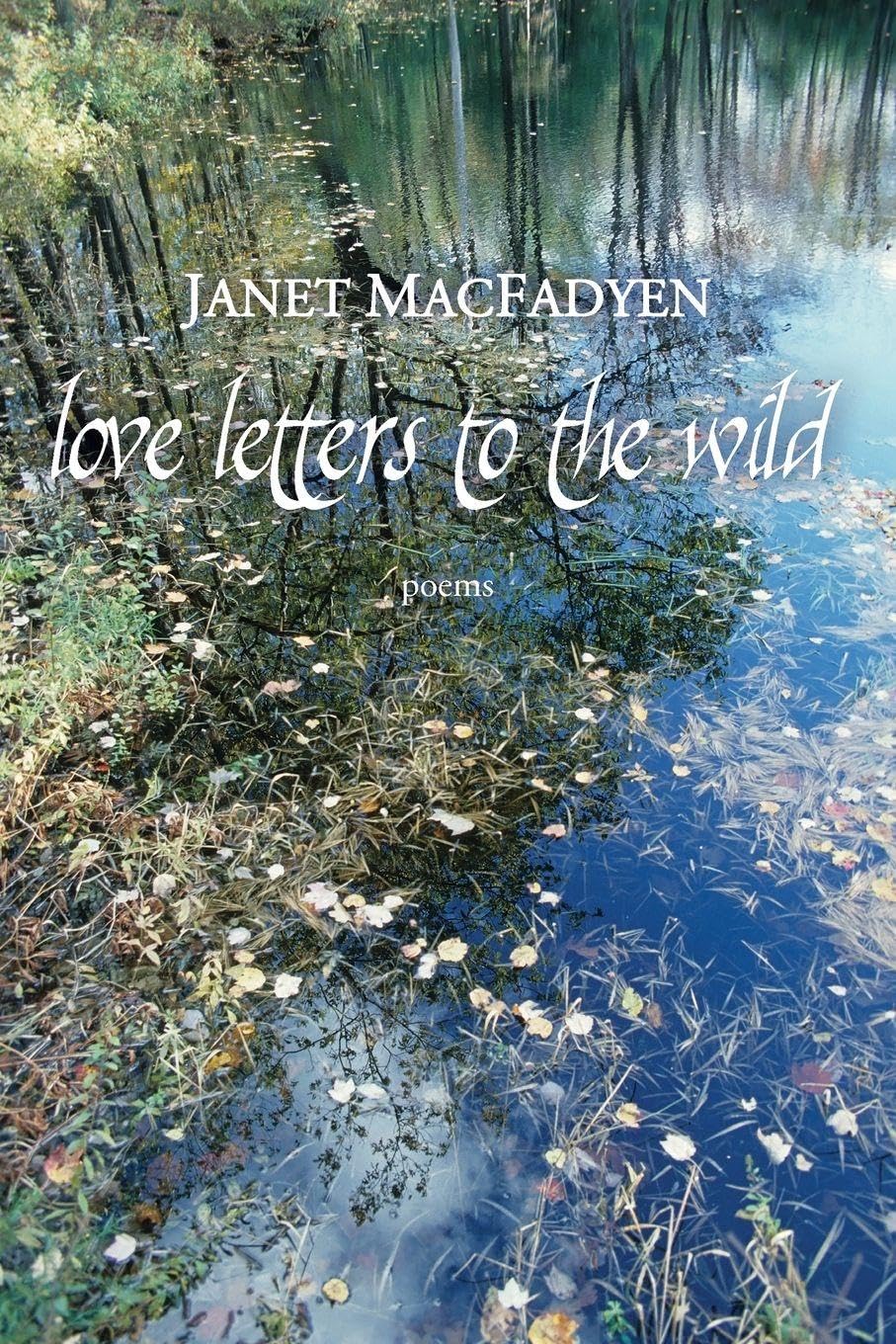 Love Letters to the Wild Mathematics
