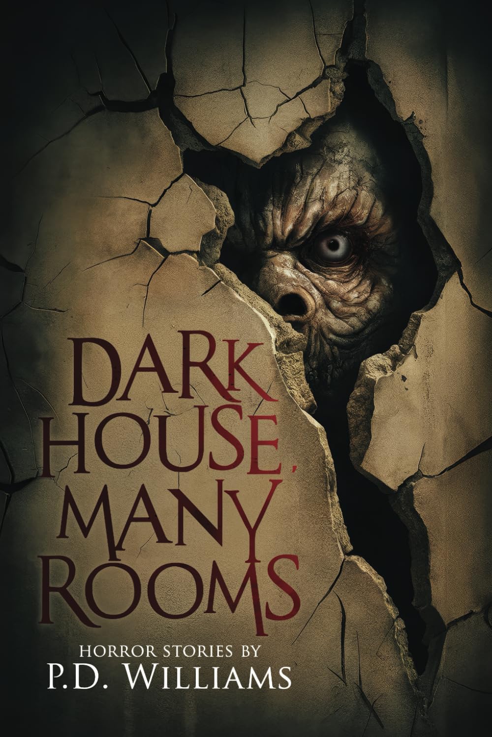 Product Image: Dark House, Many Rooms