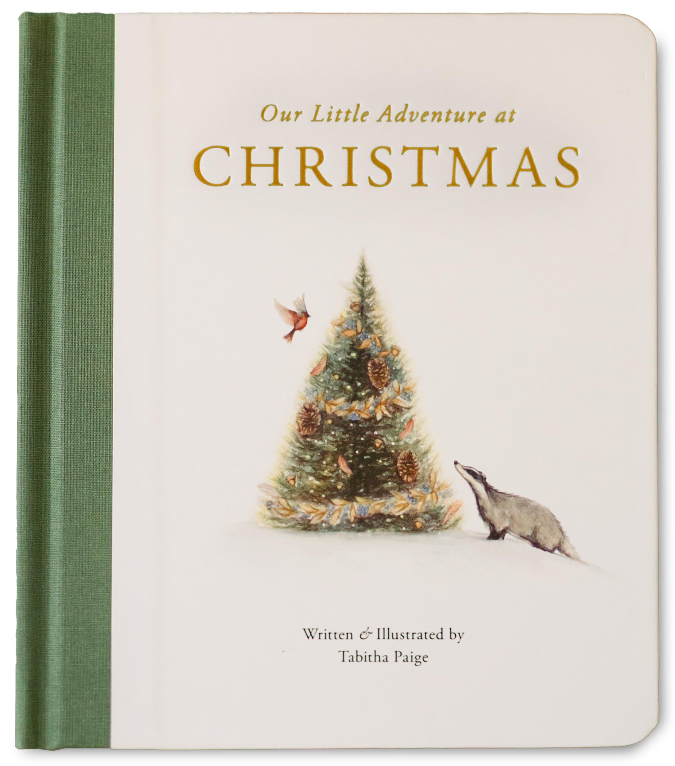 Our Little Adventure at Christmas: Featuring Foundational Language Concepts and Lessons on the Joy of Giving (Tabitha Paige Children's Book Series, Band 11) Parents & Children