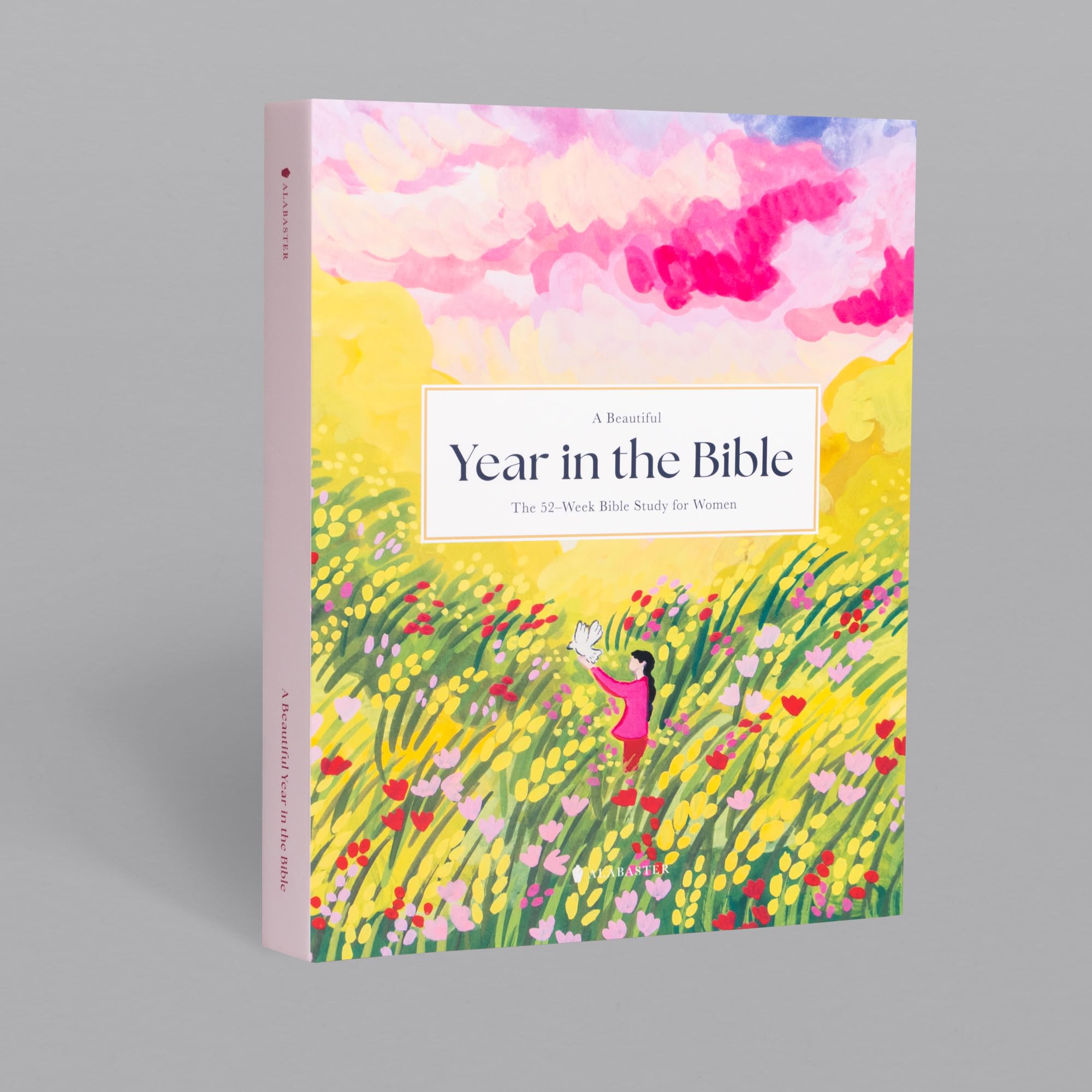 A Beautiful Year in the Bible: The 52-Week Bible Study for Women (HC) Religion & Esotericism