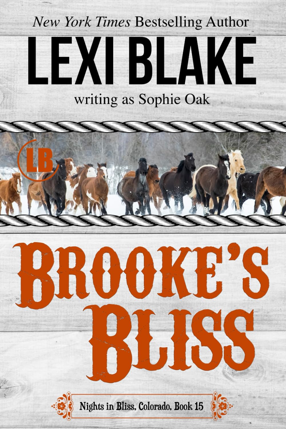 Brooke's Bliss (Nights in Bliss, Colorado, Band 15) Romantic Thrillers