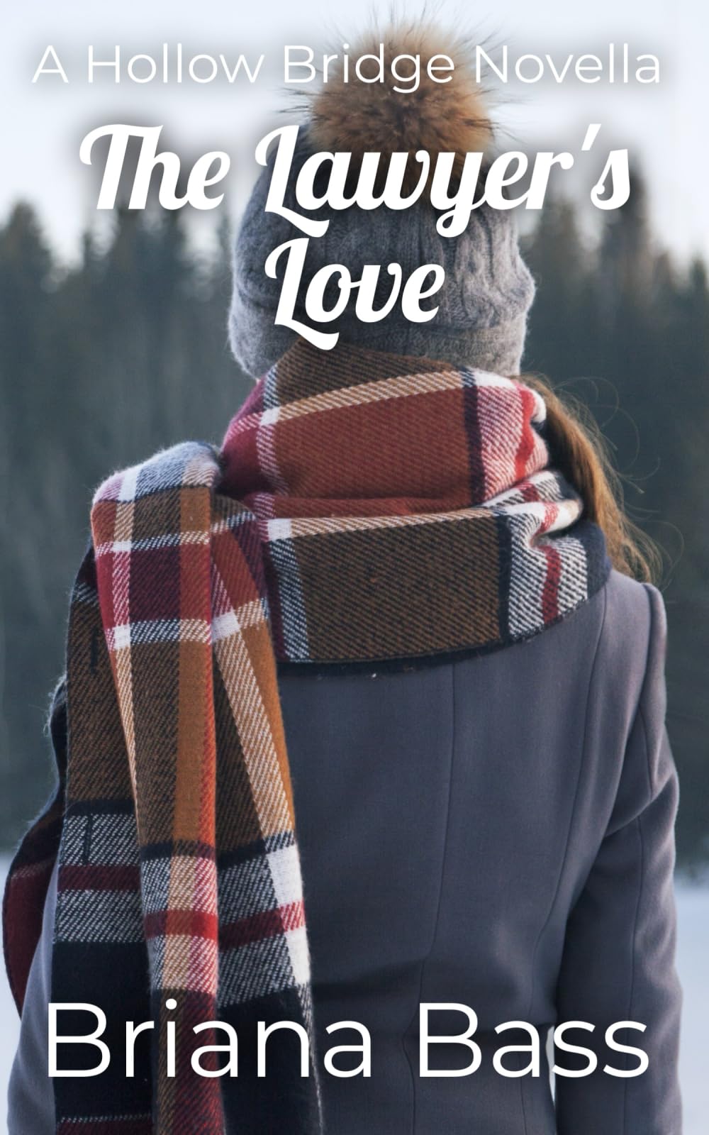 The Lawyer's Love: A Hollow Bridge Novella (The Hollow Bridge Series, Band 3) New Adult