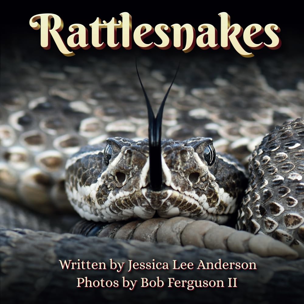 Product Image: Rattlesnakes