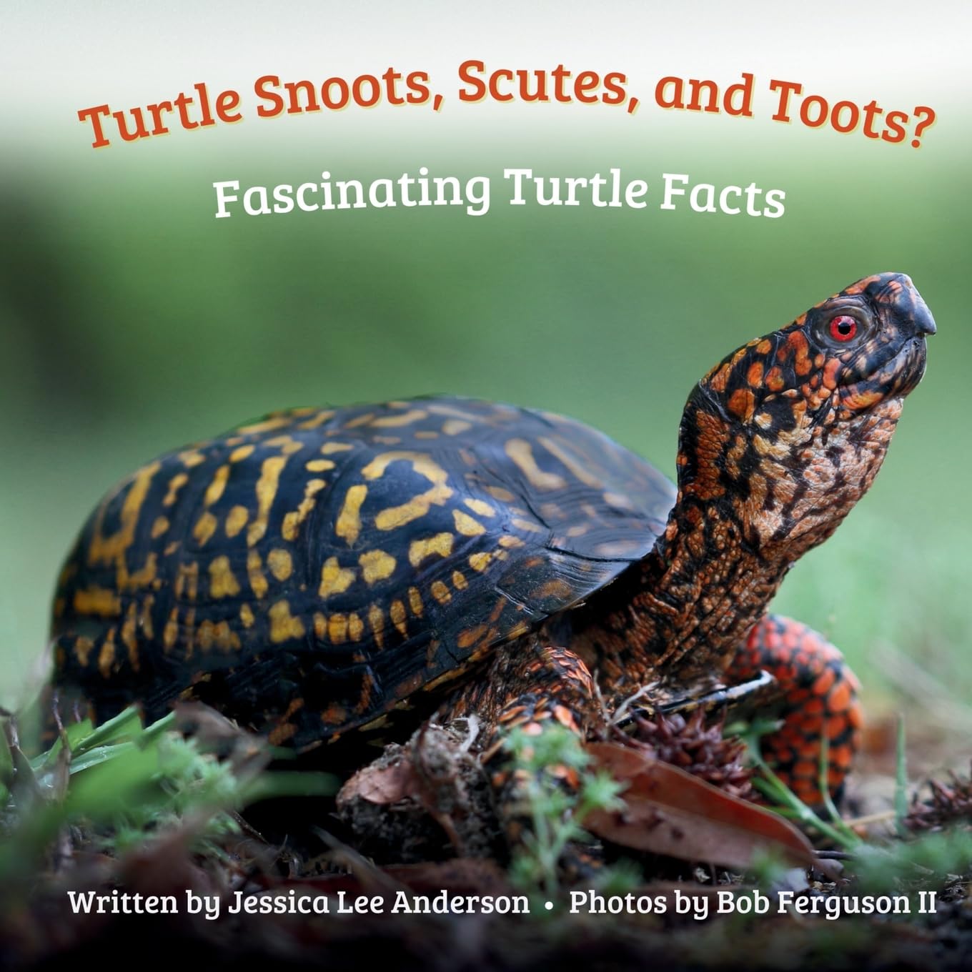 Turtle Snoots, Scutes, and Toots? Fascinating Turtle Facts Novels & Short Stories