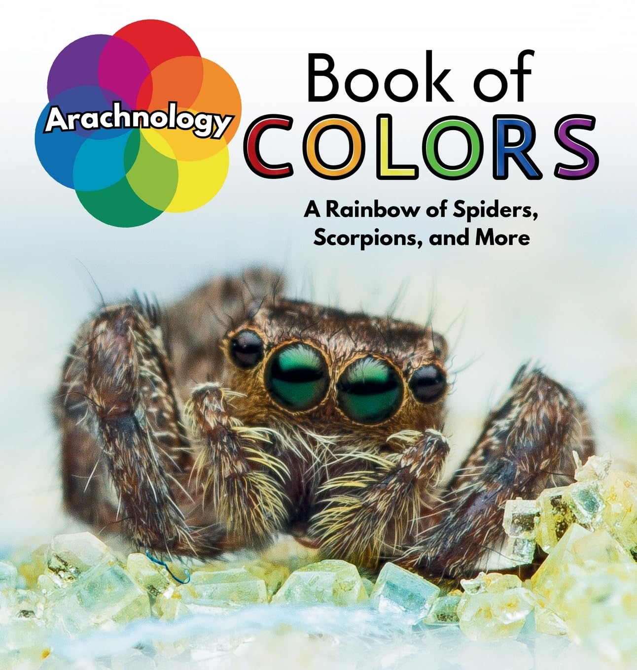 Arachnology Book of Colors Non-fiction