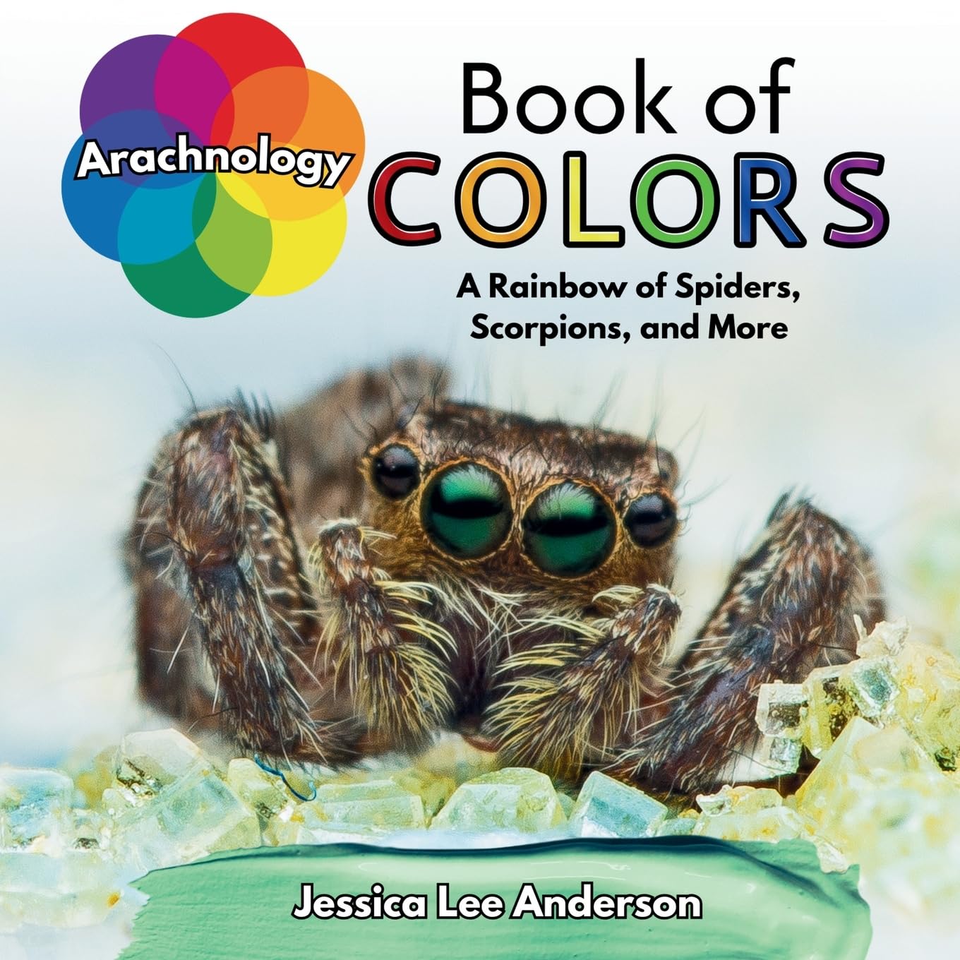 Arachnology Book of Colors Non-fiction