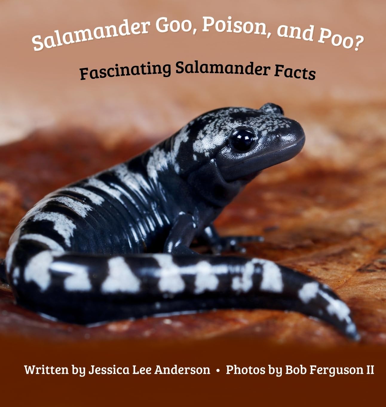 Salamander Goo, Poison, and Poo? Fascinating Salamander Facts Non-fiction