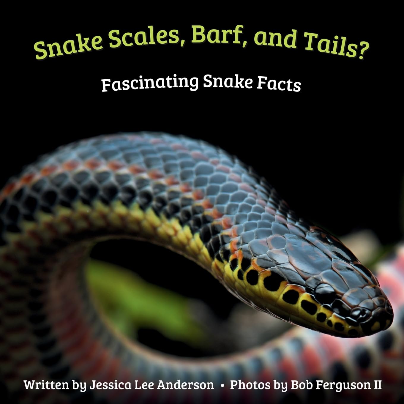 Snake Scales, Barf and Tails? Fascinating Snake Facts Non-fiction