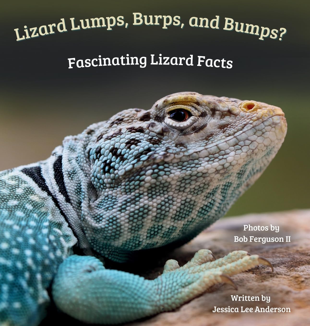 Lizard Lumps, Burps, and Bumps? Fascinating Lizard Facts Non-fiction
