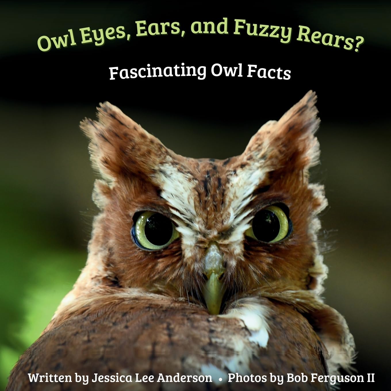 Owl Eyes, Ears, and Fluffy Rears? Non-fiction