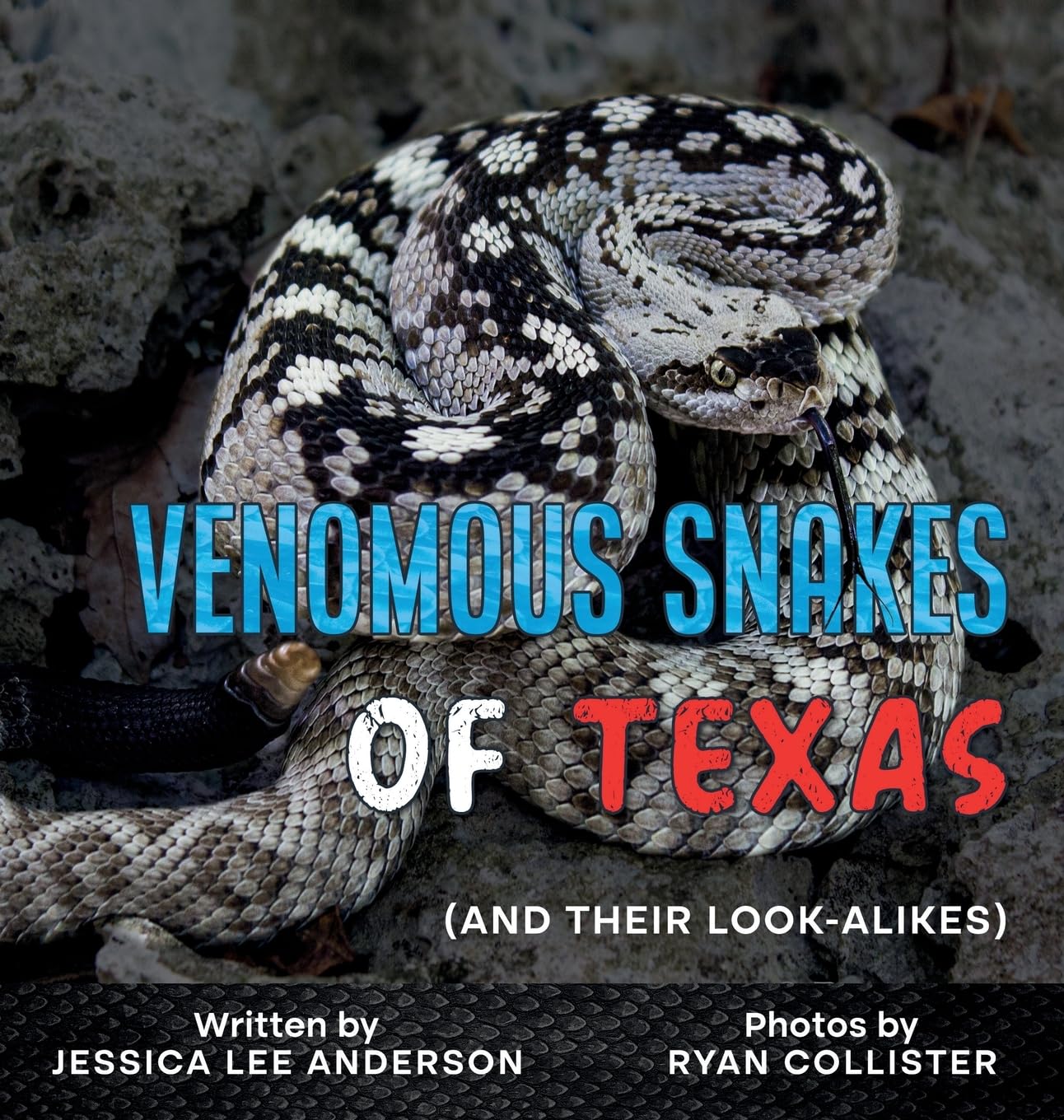 Venomous Snakes of Texas Non-fiction