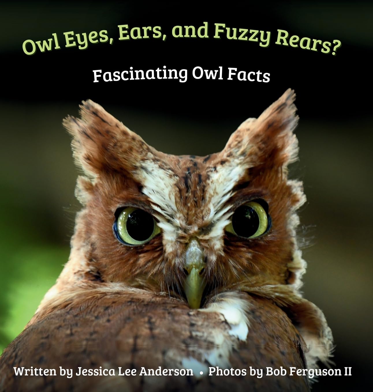 Owl Eyes, Ears, and Fluffy Rears? Fascinating Owl Facts Non-fiction