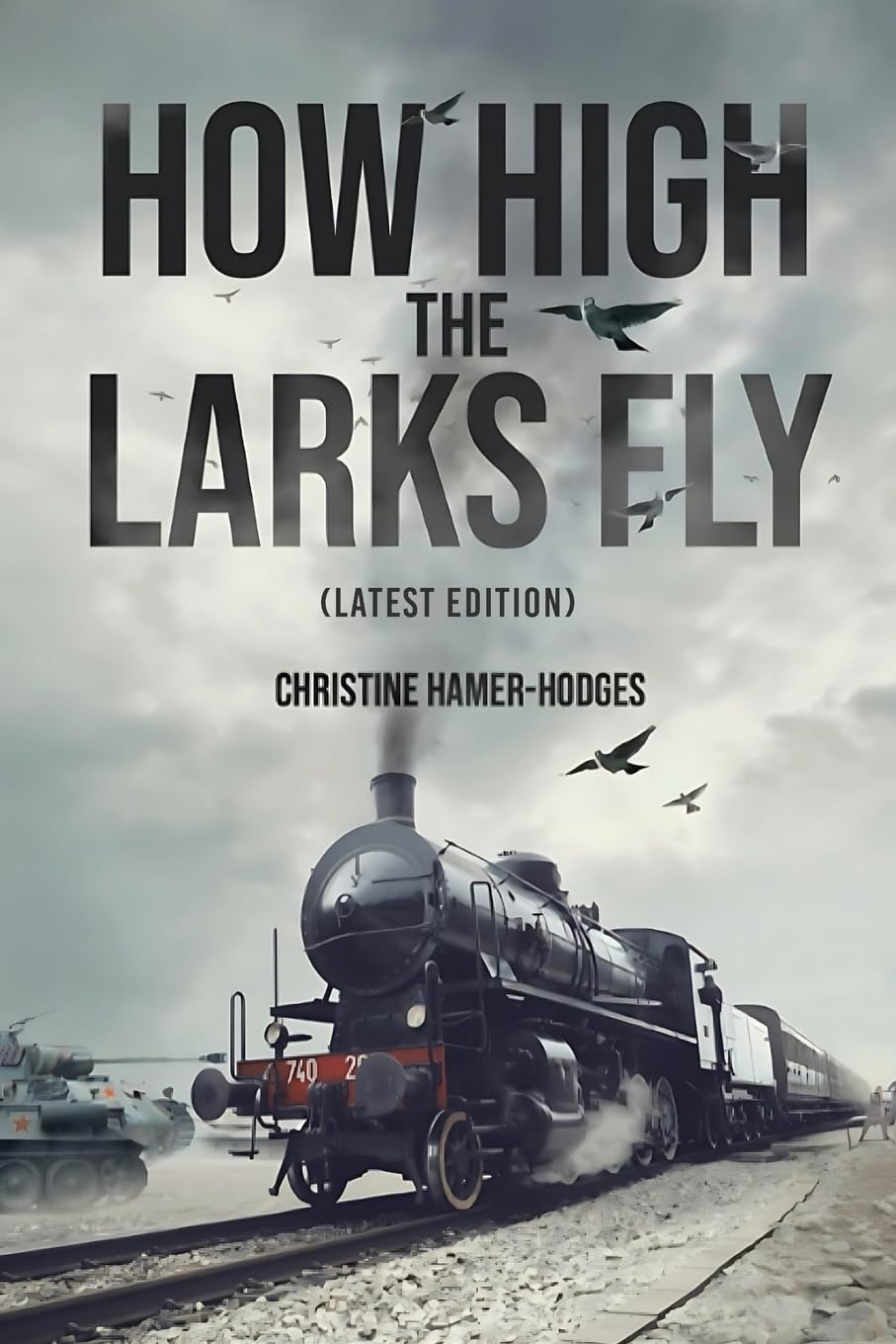 How High the Larks Fly: The harrowing but true story of a young girl fighting to survive when her world is destroyed by war (Latest Edition) Memories
