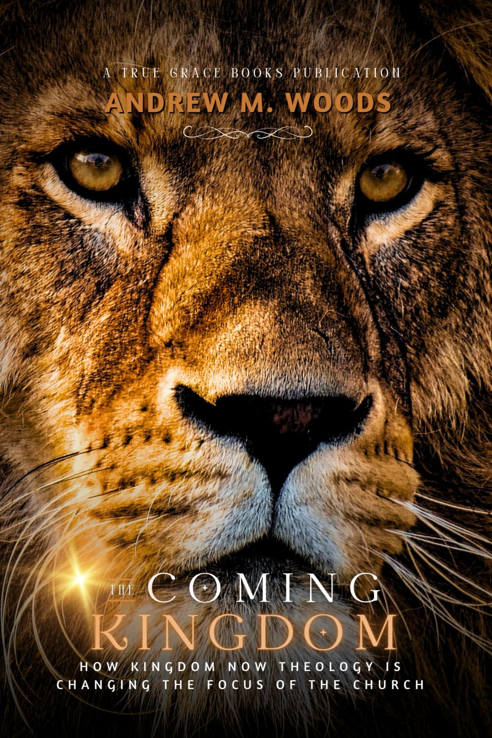 The Coming Kingdom: How Kingdom Now Theology Is Changing the Focus of the Church Religion & Esotericism