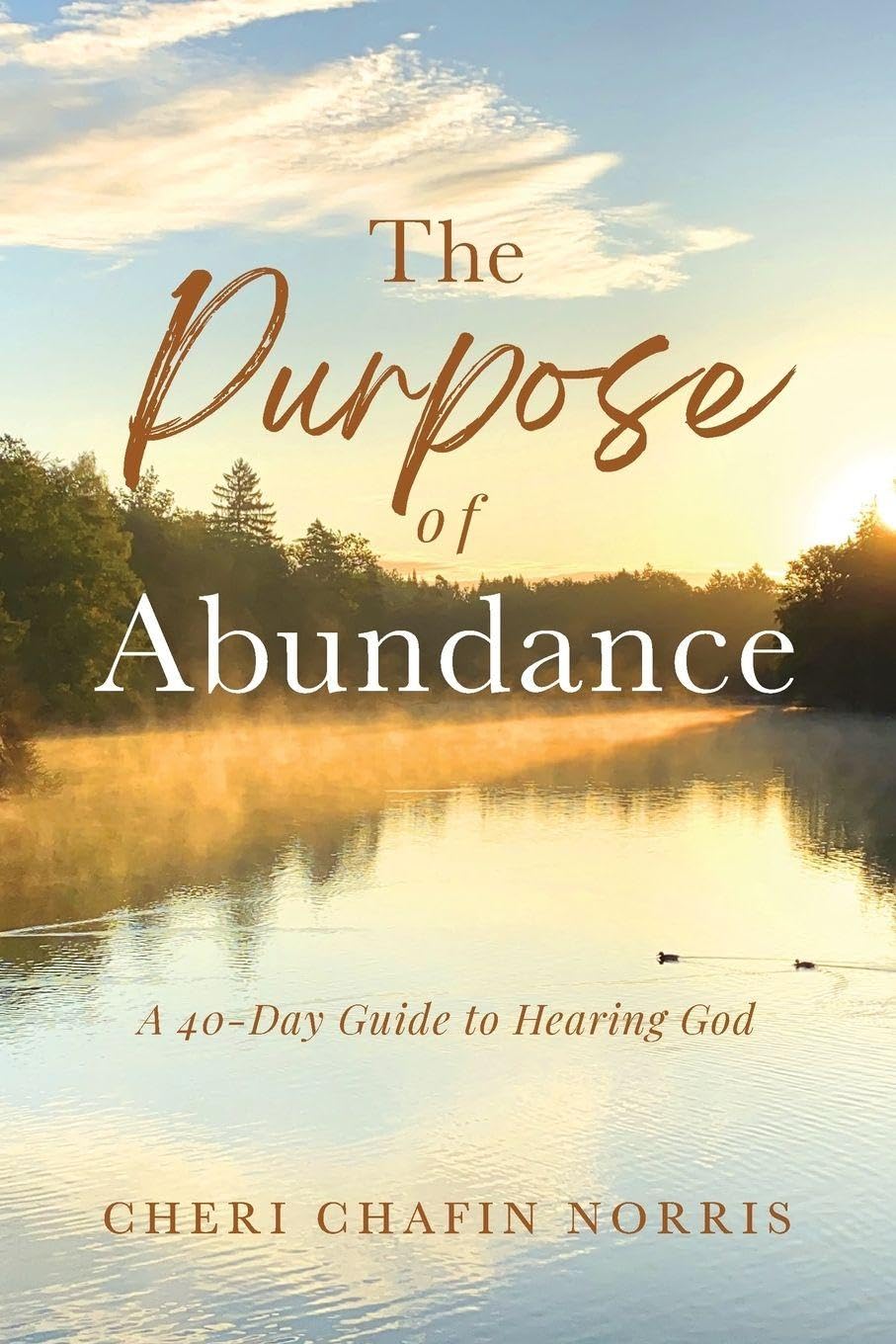 The Purpose of Abundance Politics & Society