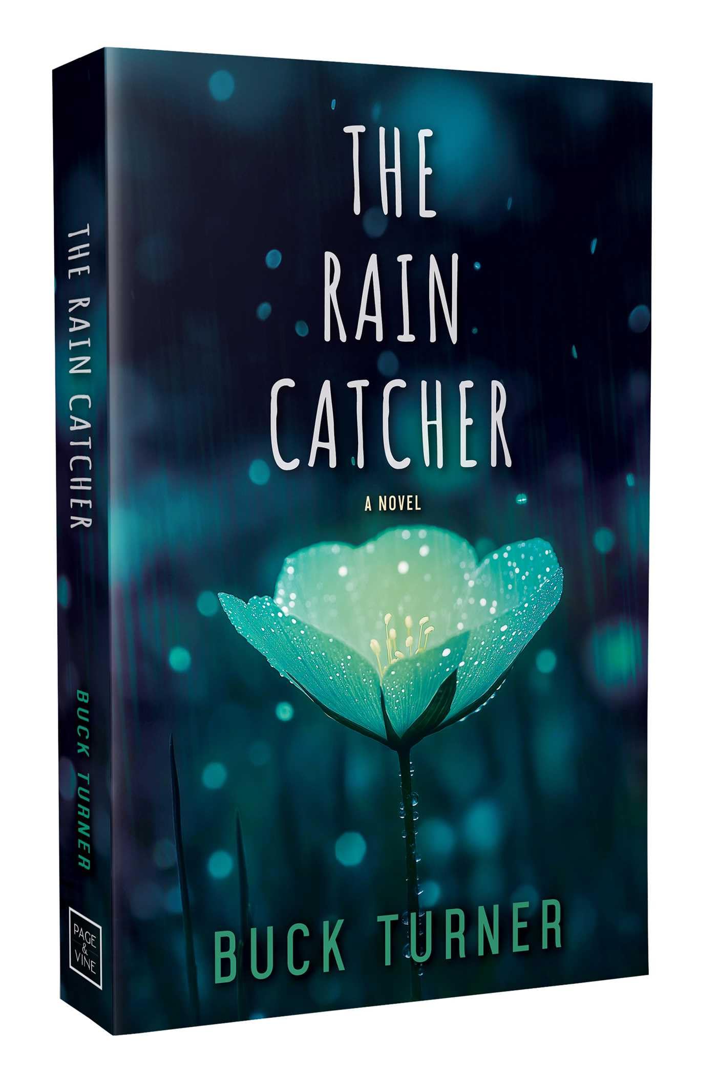 The Rain Catcher (Volume 3) (The Keeper of Stars) Contemporary Romance