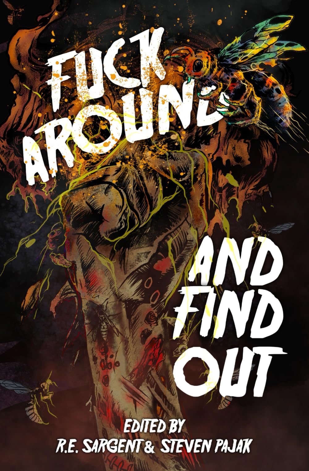 Fuck Around and Find Out book