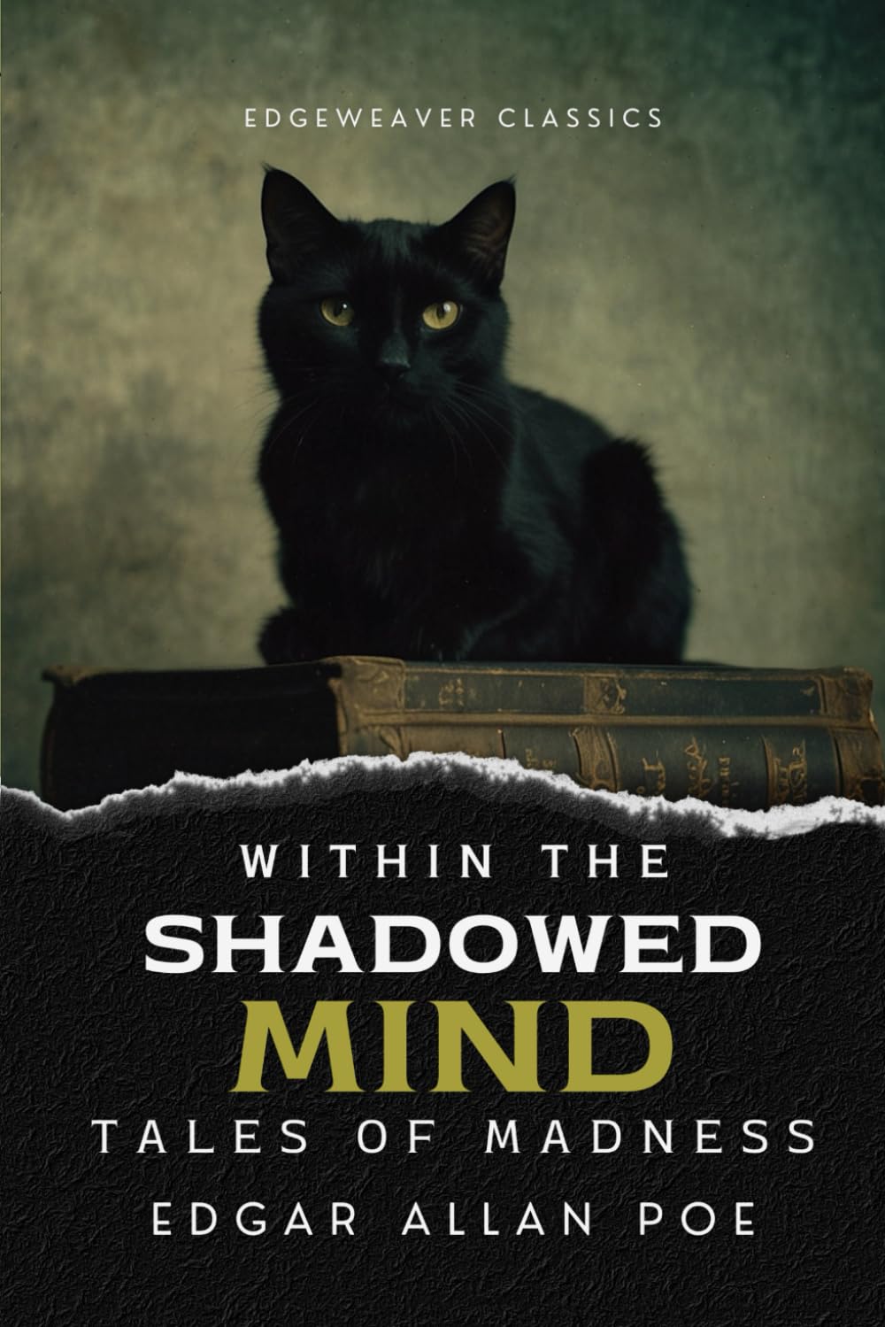 Within the Shadowed Mind: Tales of Madness Contemporary literature