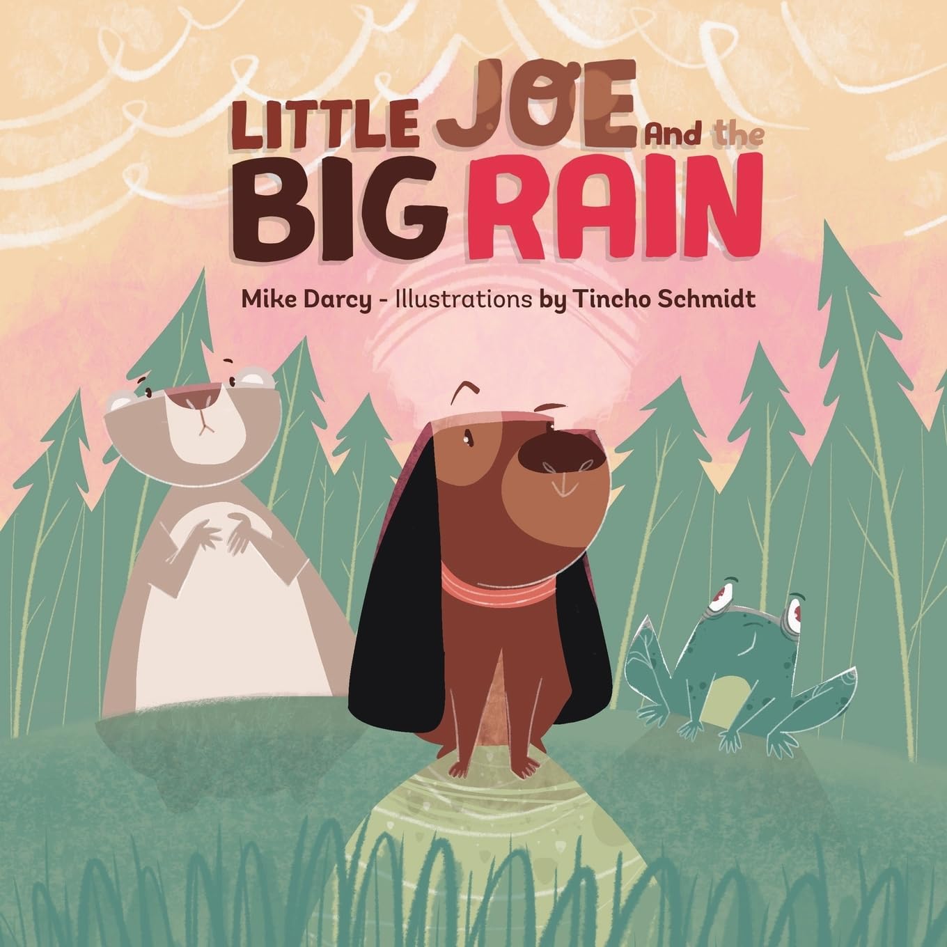 Little Joe and the Big Rain book