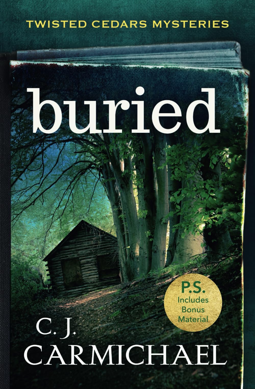 Buried (Twisted Cedars Mysteries, Band 1) Detective & CSI