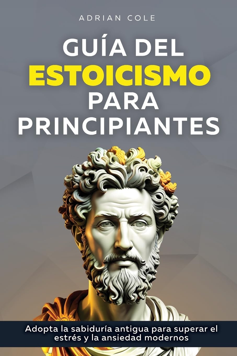 Guía del Estoicismo para Principiantes Philosophy