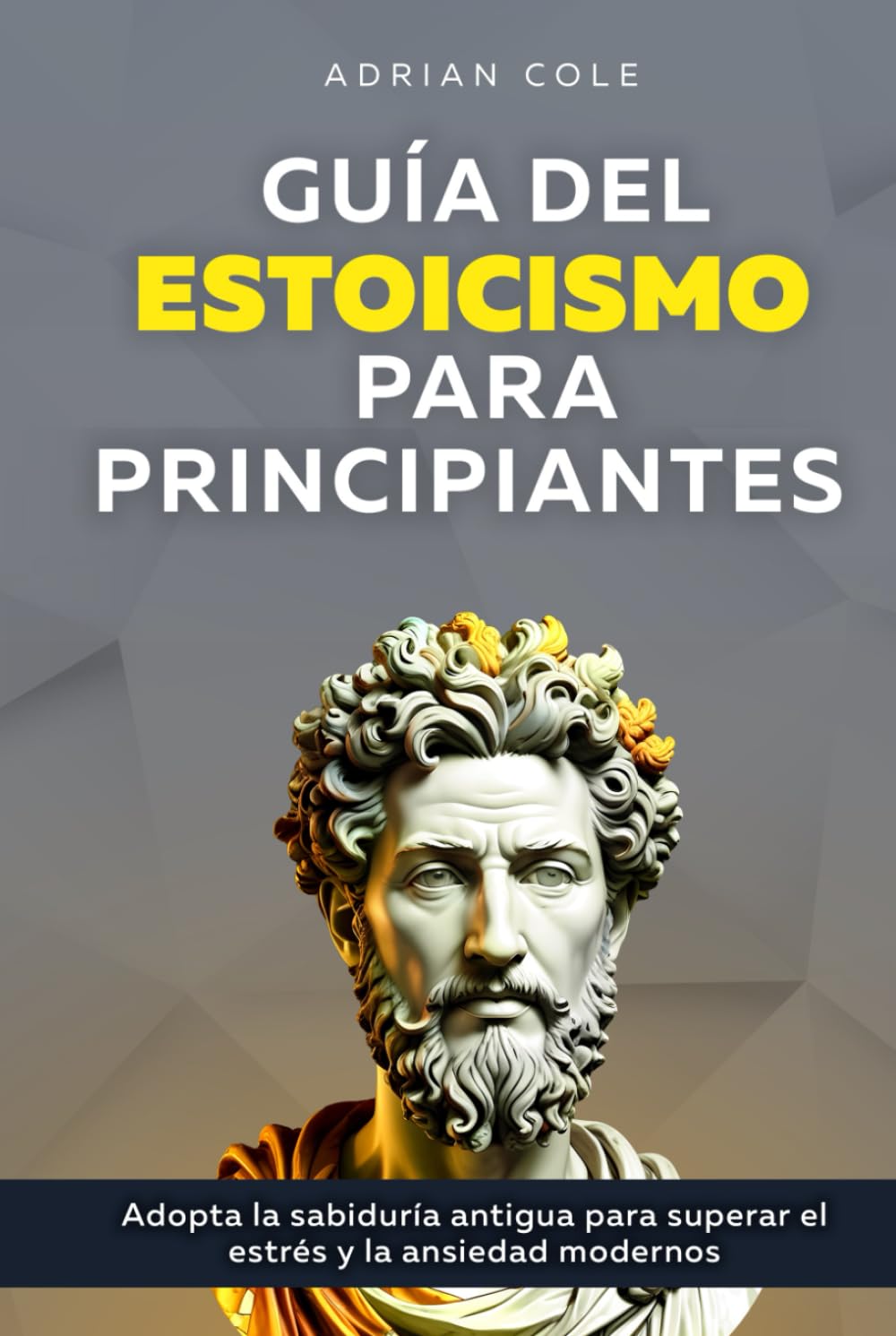 Guía del Estoicismo para Principiantes Philosophy