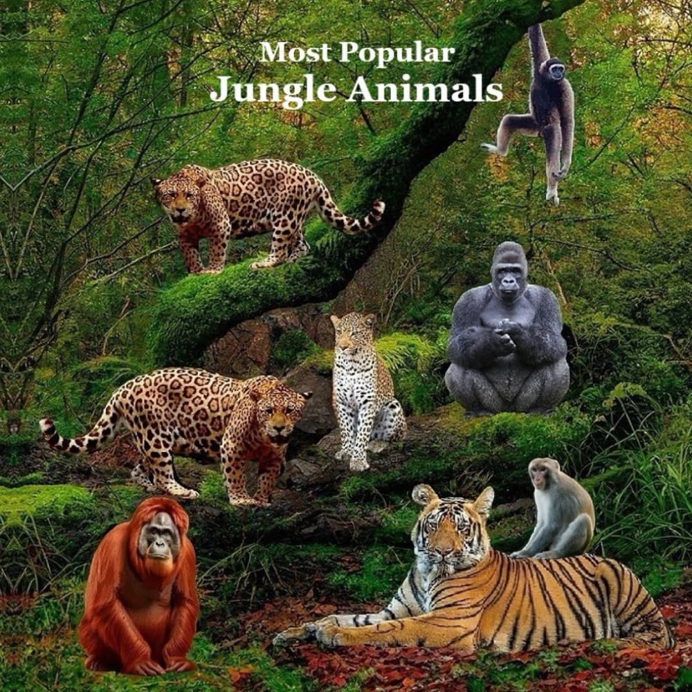 Most Popular Jungle Animals Kids Book: Great Children’s Book About Animals of the Jungle Non-fiction