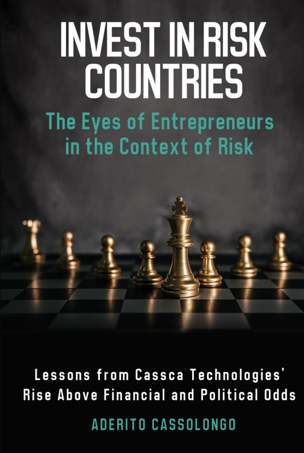 INVEST IN RISK COUNTRIES: “The Eyes Of Entrepreneurs In The Context Of Risk” Politics & Society