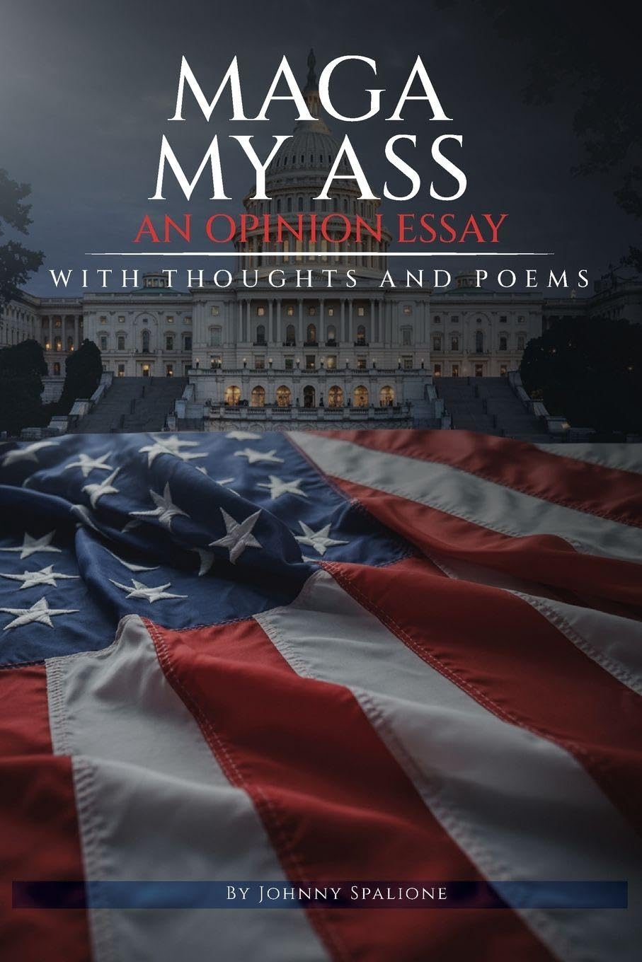 MAGA MY ASS  An Opinion Essay  Thoughts and Poetry Contemporary literature