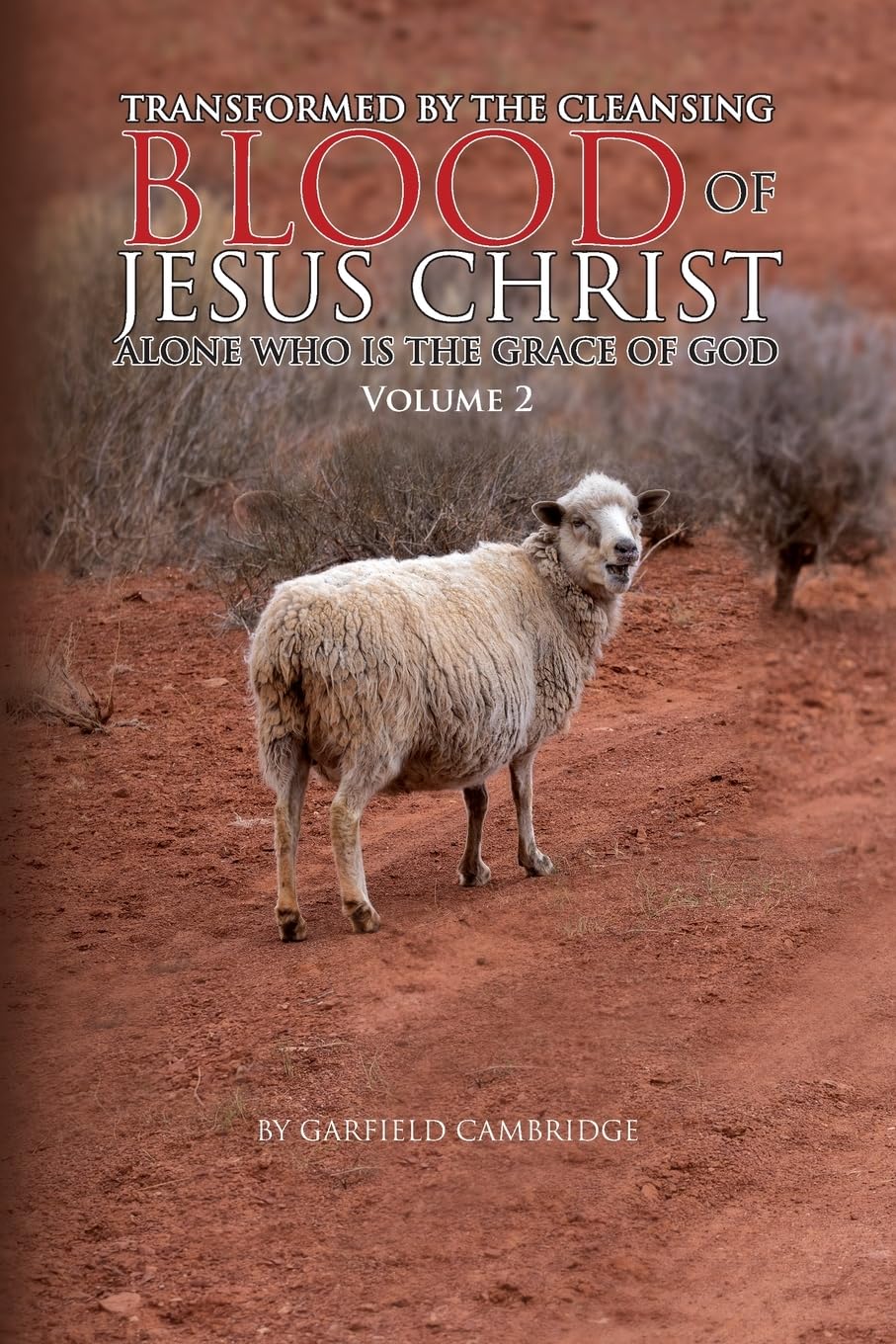 Transformed by the Blood of Jesus Christ Alone, Who Is the Grace of God Religion & Esotericism