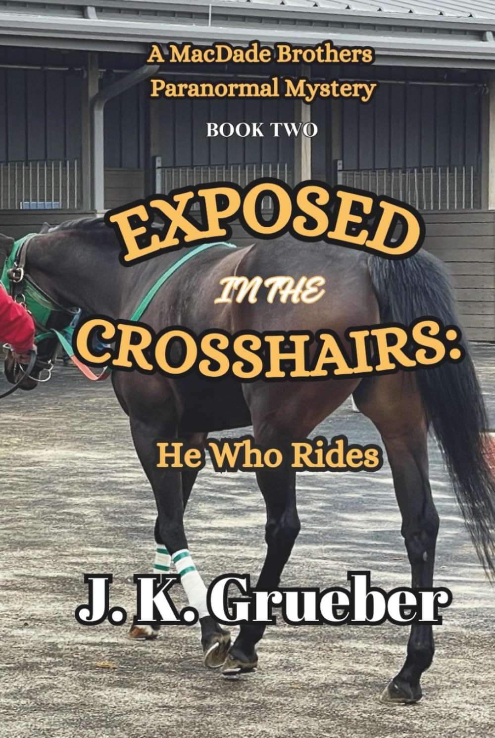 EXPOSED In The CROSSHAIRS: He Who Rides: A MacDade Brothers Paranormal Mystery (The MacDade Brothers Mysteries, Band 2) Detective & CSI