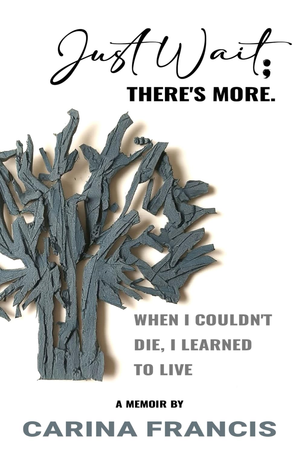 Just Wait; There's More. When I couldn't die, I learned to live Art & Literature