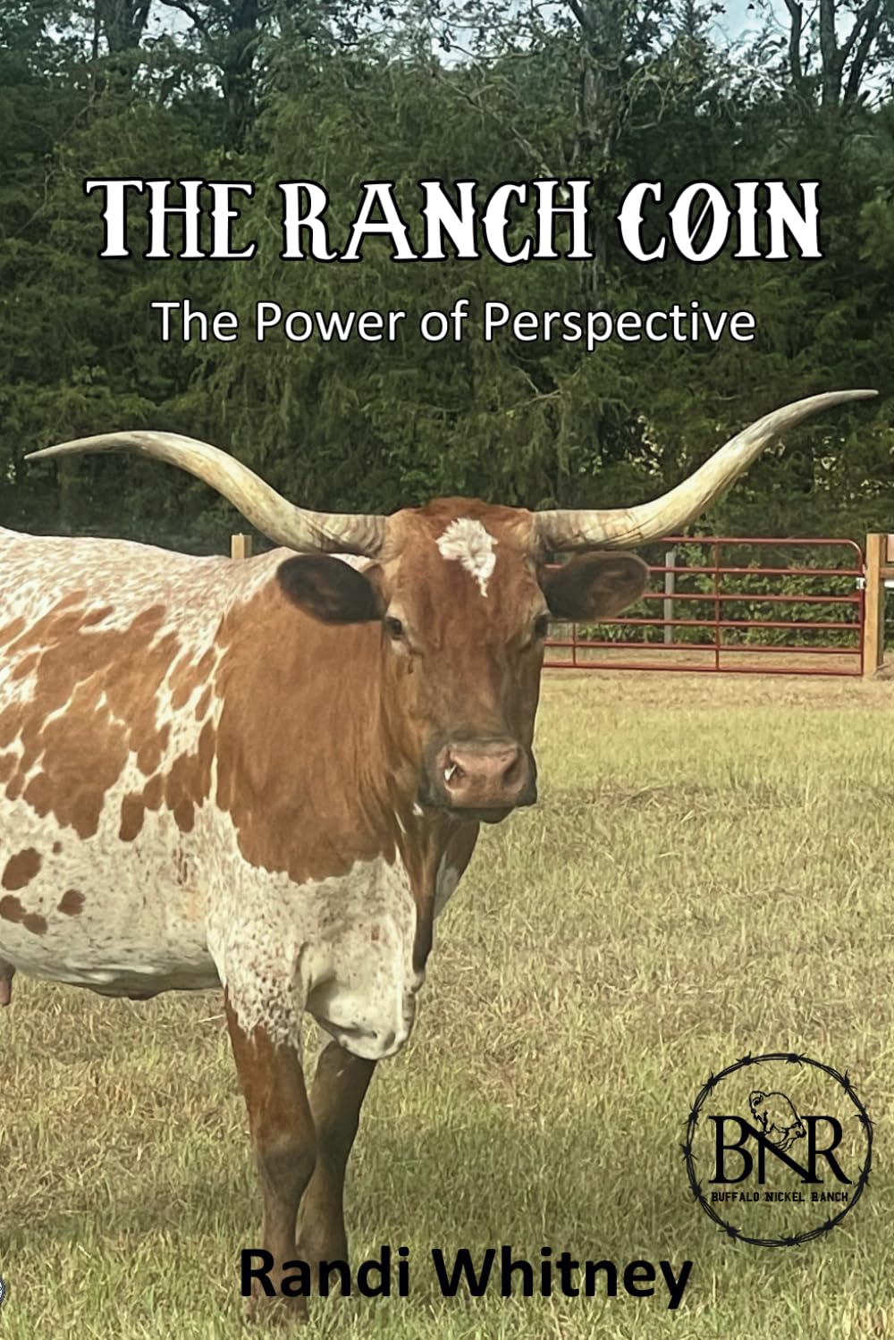 The Ranch Coin: The Power of Perspective (Buffalo Nickel Ranch, Band 1) Novels & Short Stories