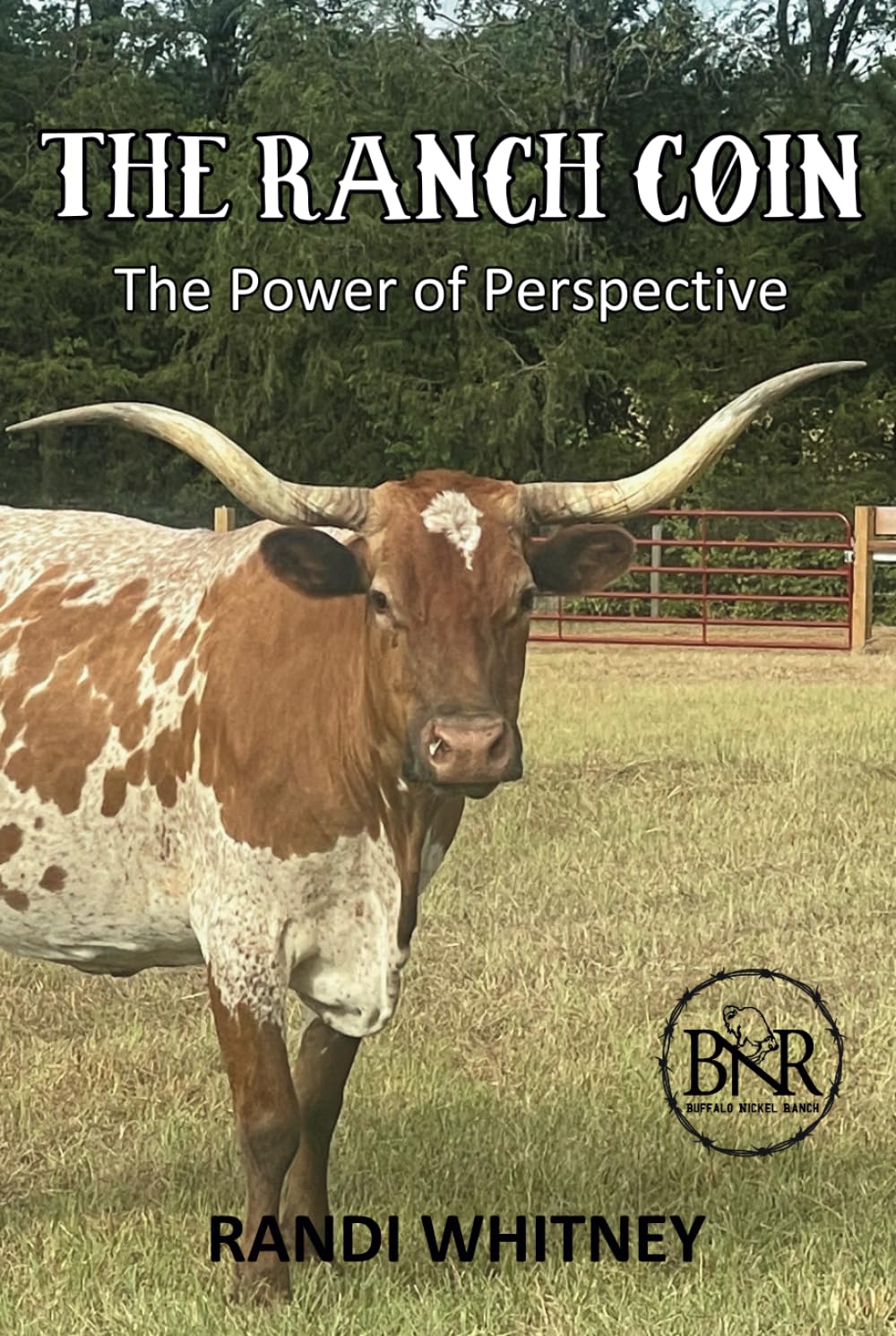 The Ranch Coin: The Power of Perspective (Buffalo Nickel Ranch, Band 1) Novels & Short Stories