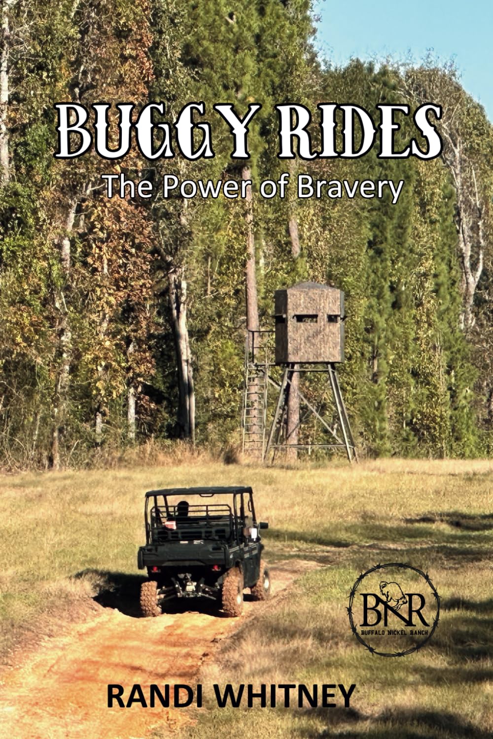 Buggy Rides: The Power of Bravery (Buffalo Nickel Ranch, Band 2) Novels & Short Stories