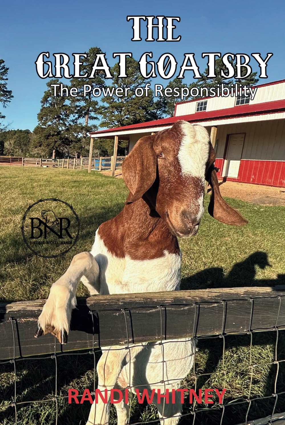 The Great Goatsby: The Power of Responsibility (Buffalo Nickel Ranch, Band 3) Novels & Short Stories