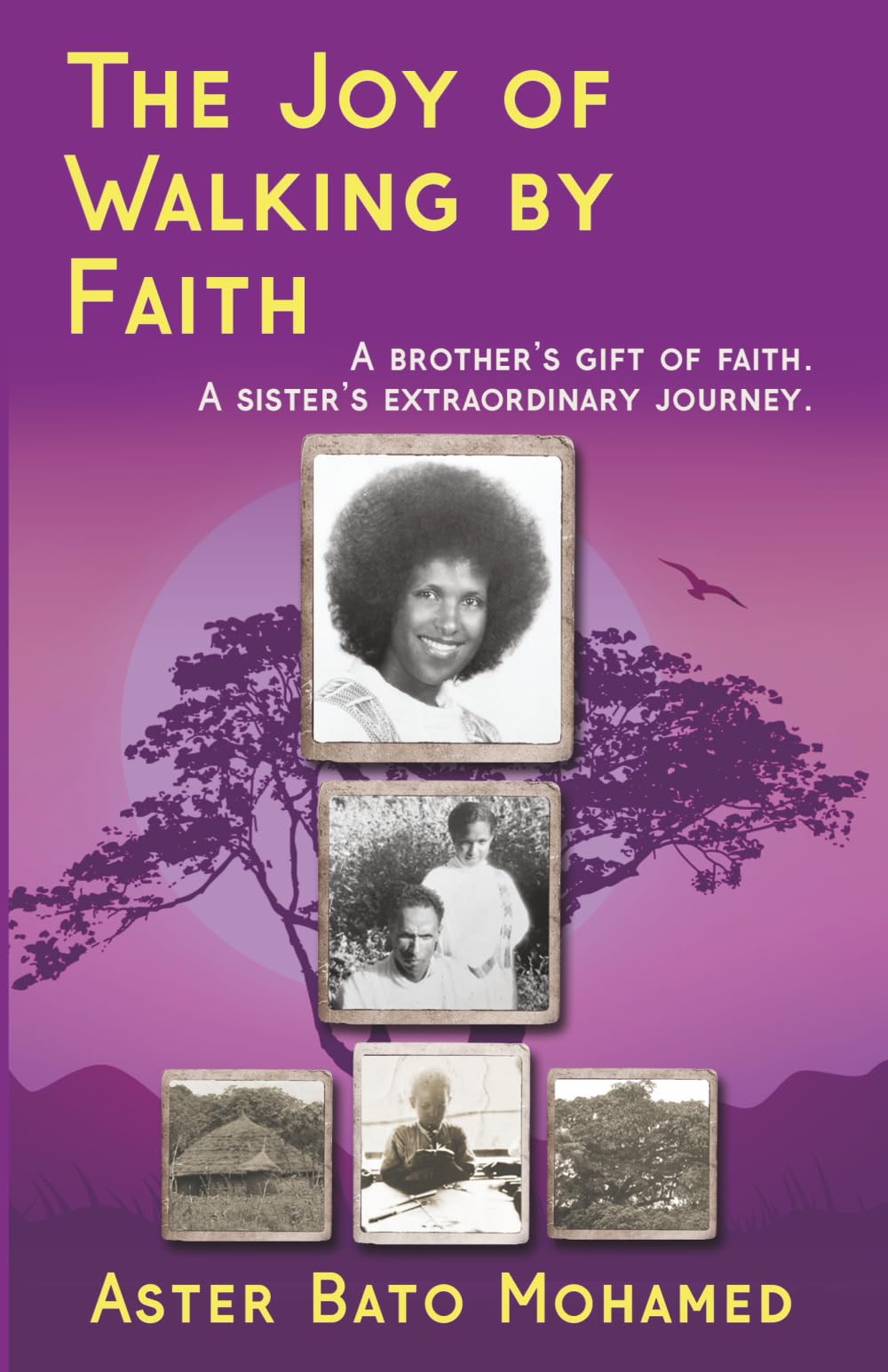 The Joy of Walking by Faith Science