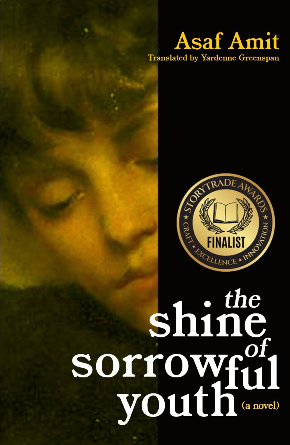The shine of sorrowful youth Contemporary literature