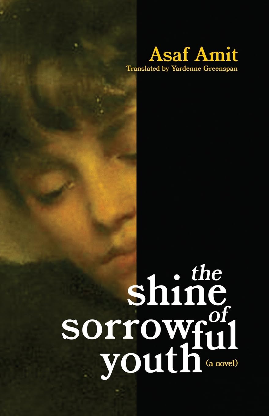 The shine of sorrowful youth Contemporary literature
