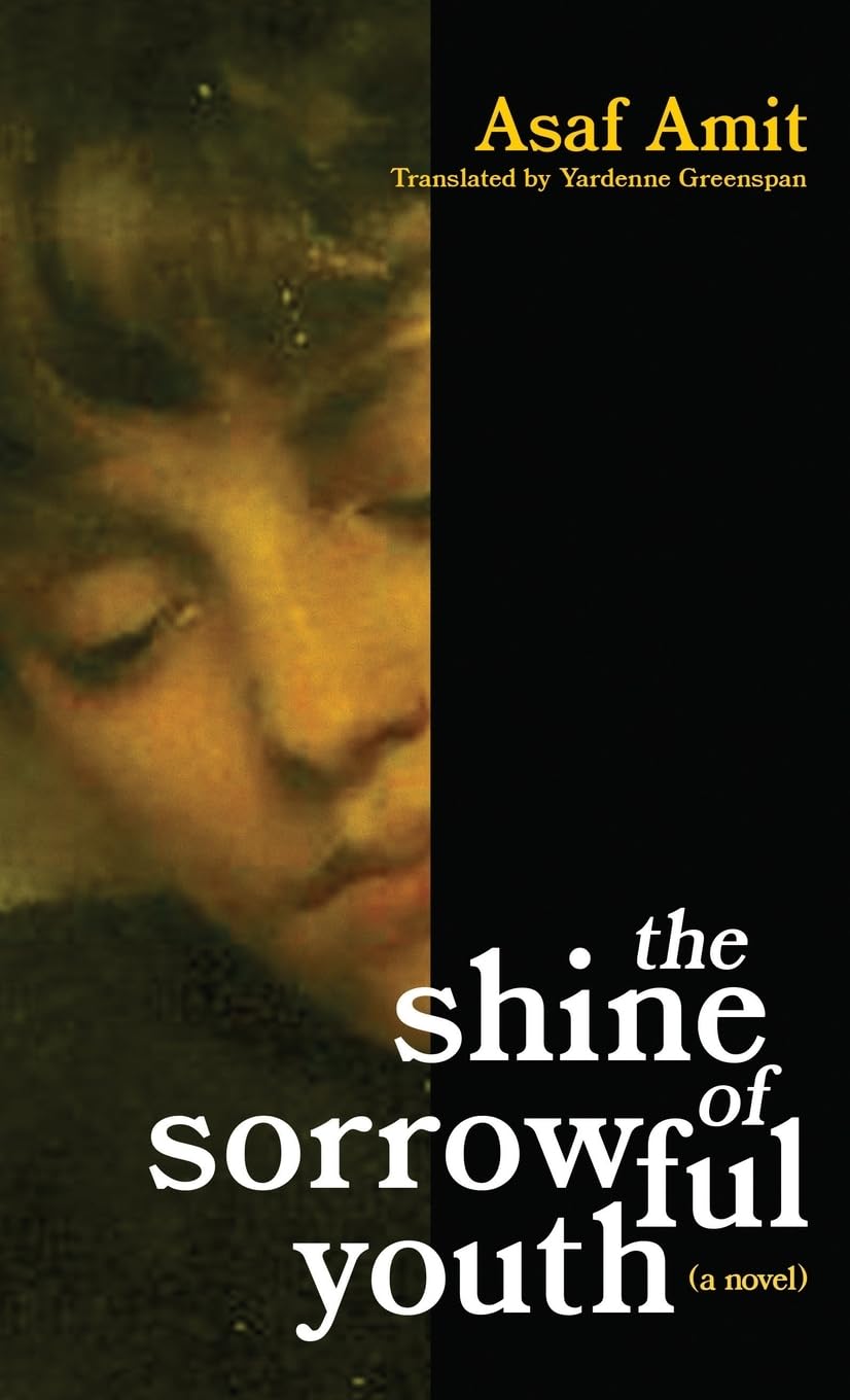The shine of sorrowful youth Contemporary literature