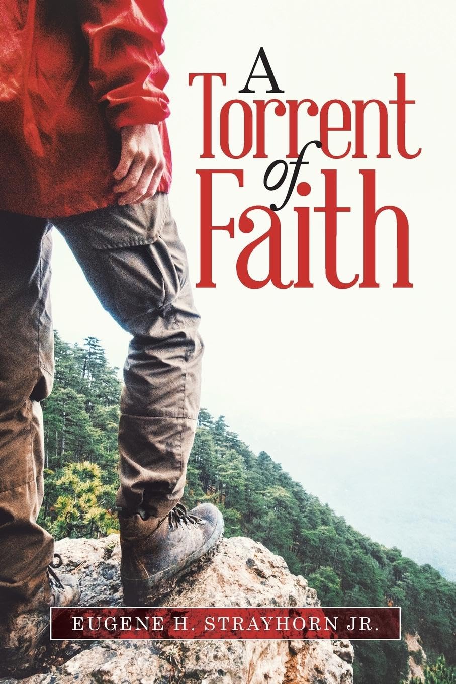 A Torrent Of Faith Contemporary literature