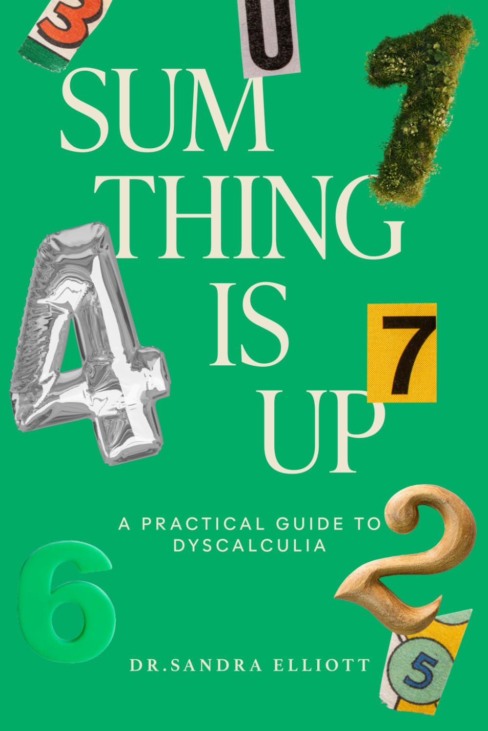 Sum Thing Is Up: A Practical Guide to Dyscalculia: Tips, Tools, and Resources for Parents, Educators, and Anyone Affected by Dyscalculia Business, Finance & Career