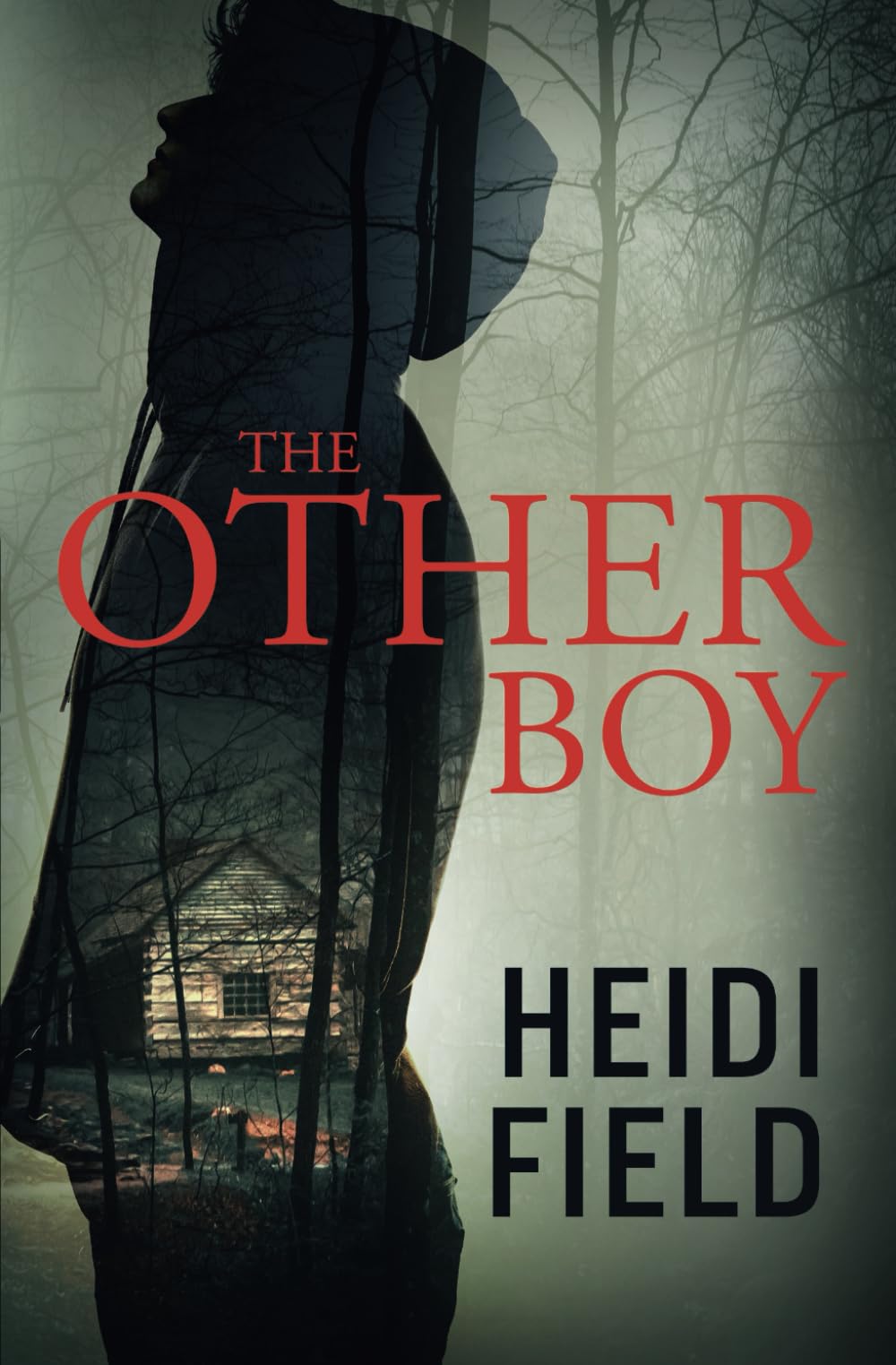 The Other Boy Contemporary literature